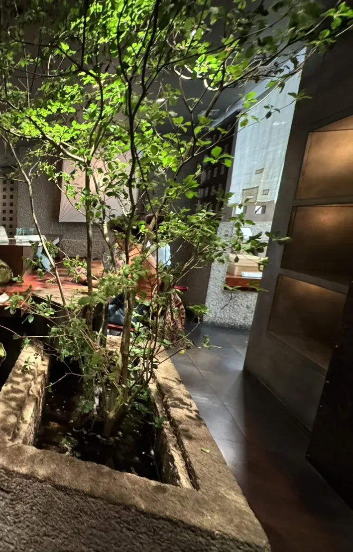 A tea room interior with a tree growing out of a long stone water basin, warm lighting, and a heavy wooden door