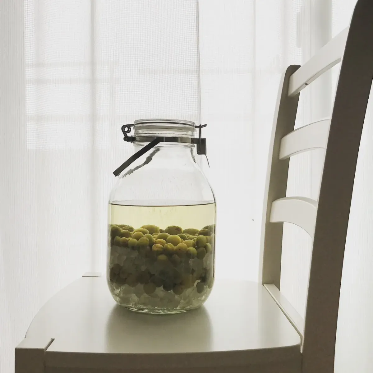 A large glass jar of green ume plums covered in clear spirit, sitting on a white chair by a window