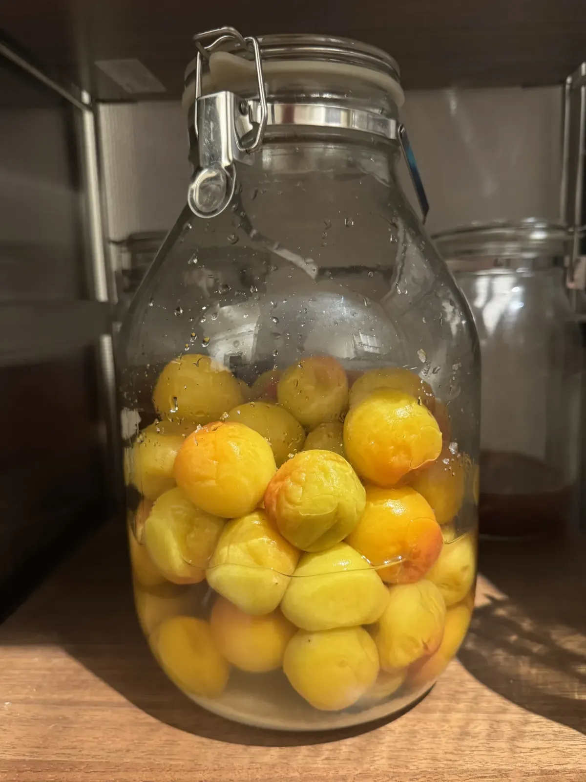 The jar on day four, the plums now uniformly yellow and orange, salt largely dissolved